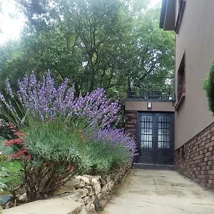 V Zahrade Troja - In The Garden Troja Apartament